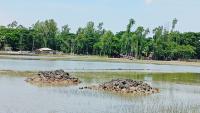 lobon-pic-2.jpg