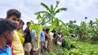 mizbah-news-pic3.jpg